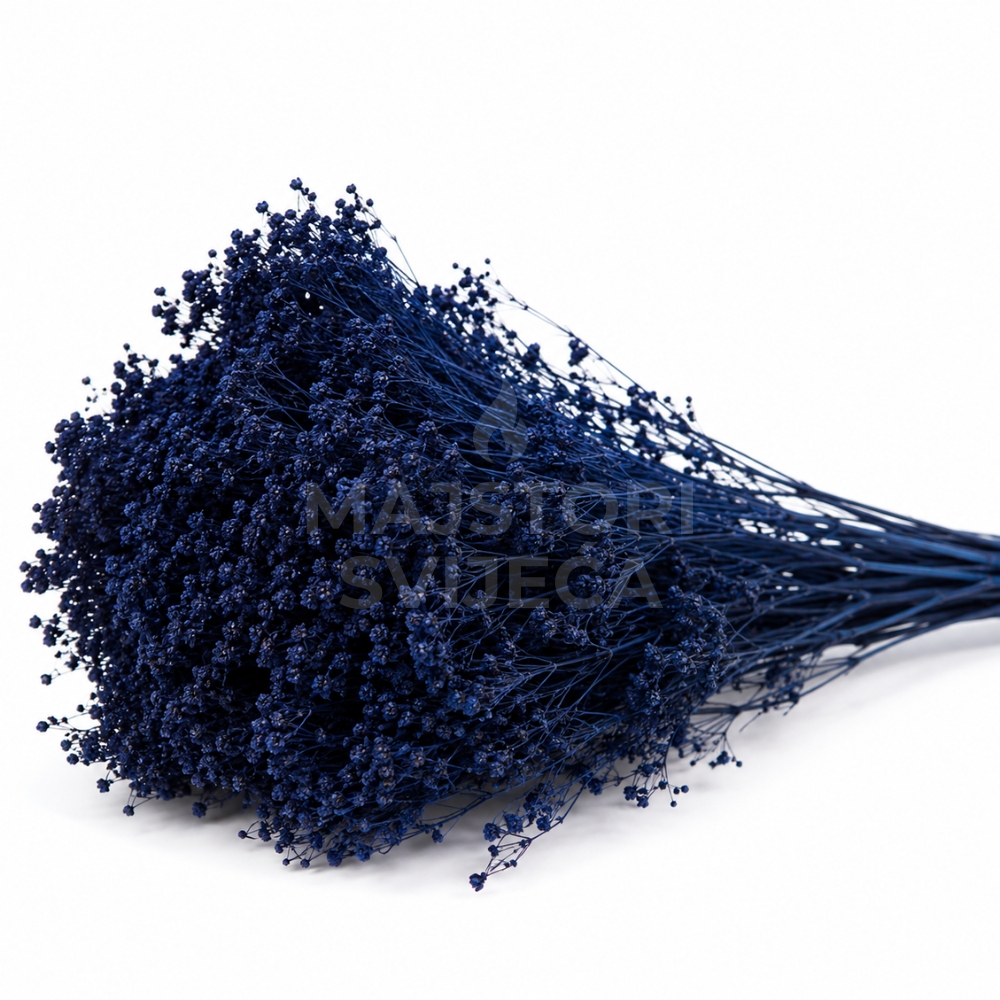 broom bloom
