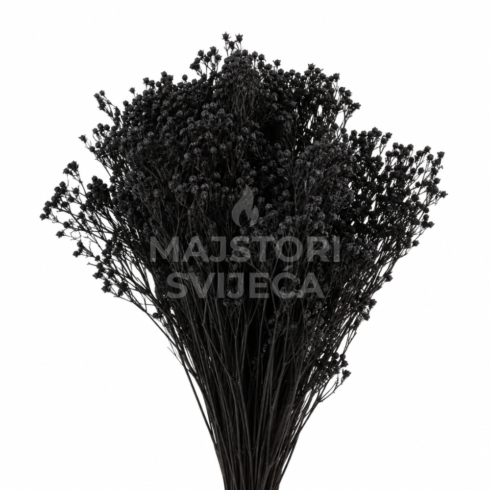 broom suhi