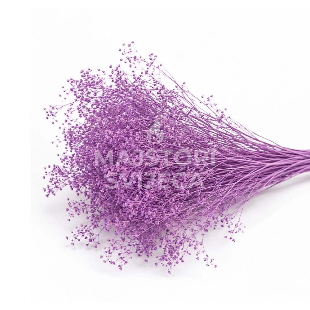 broom bloom