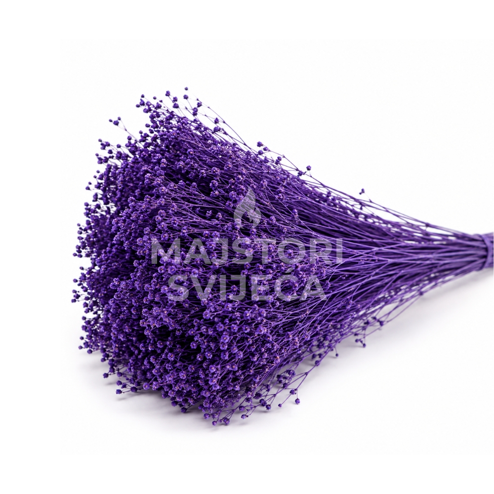 broom dehidrirani
