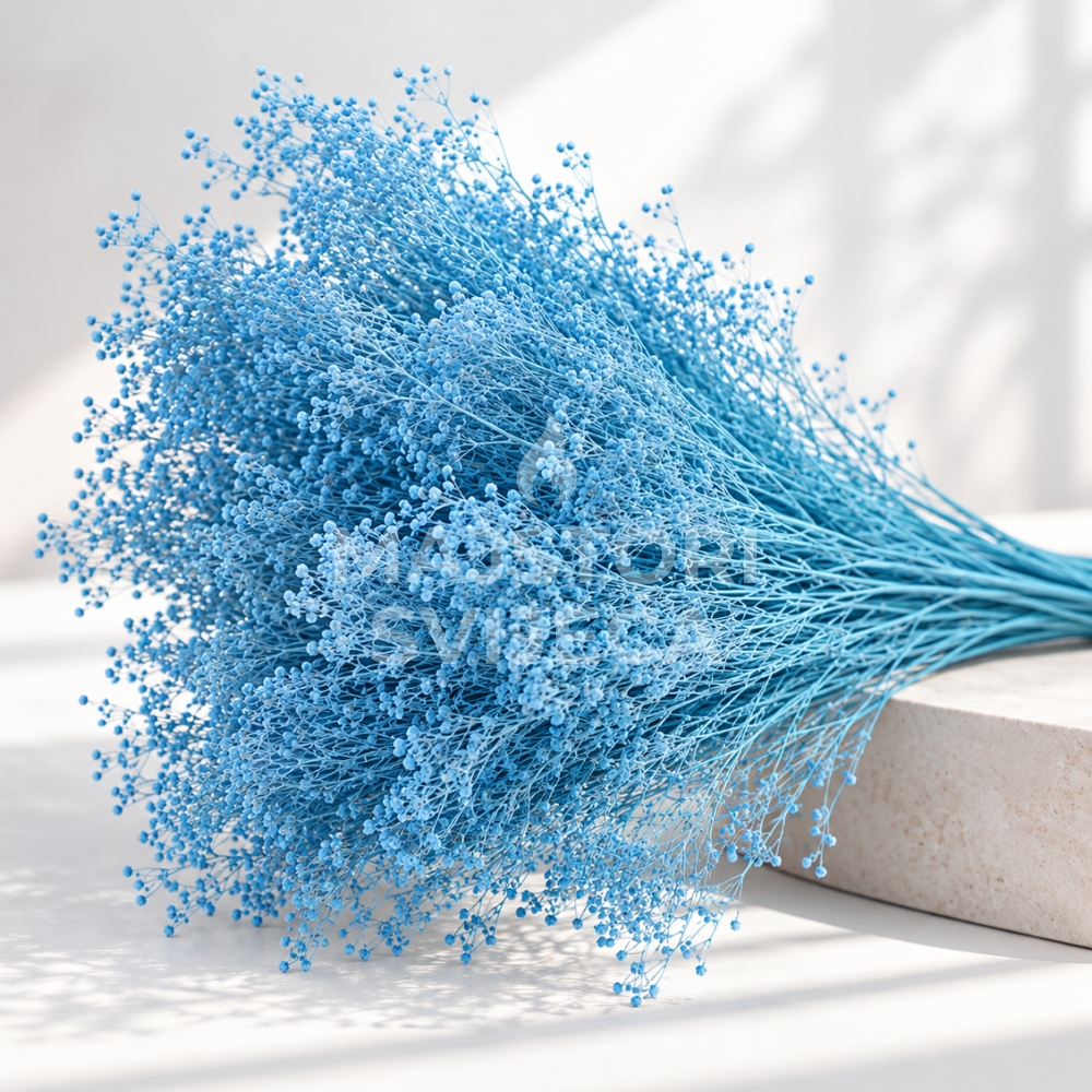 broom