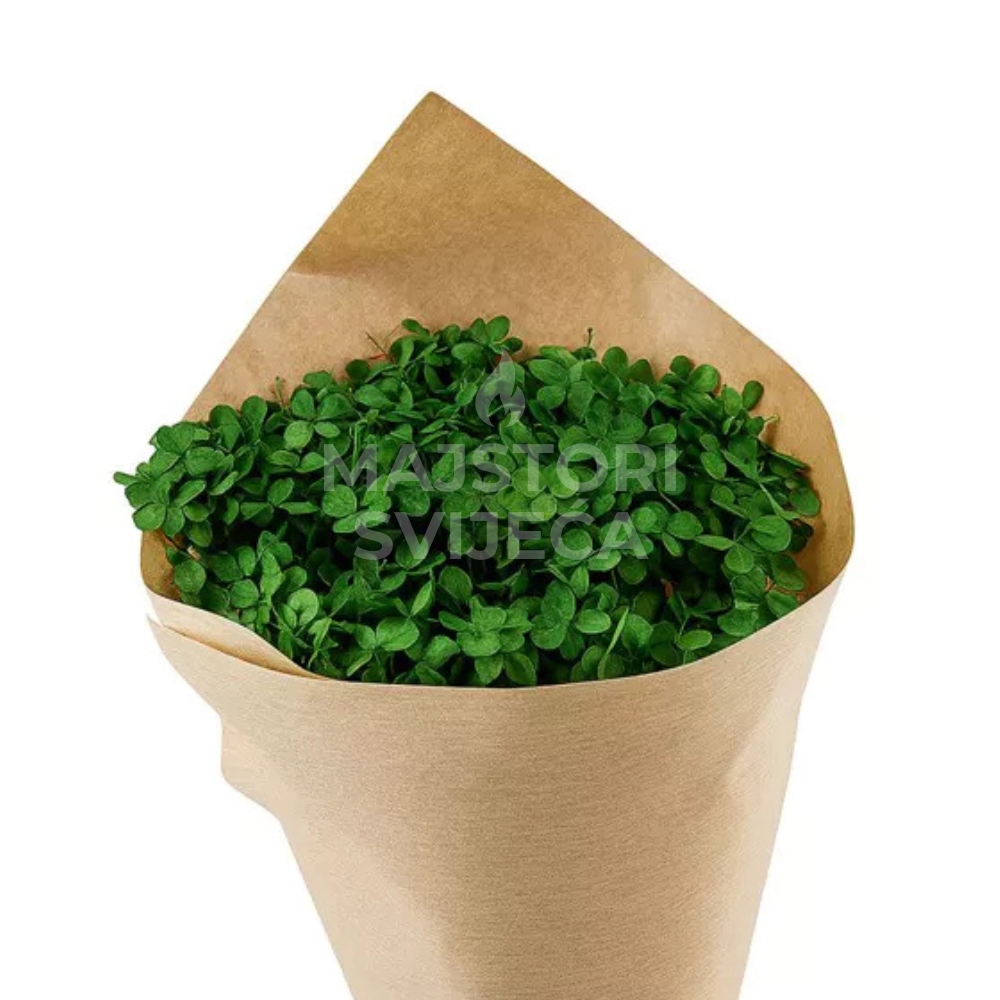 hortenzija za bukete